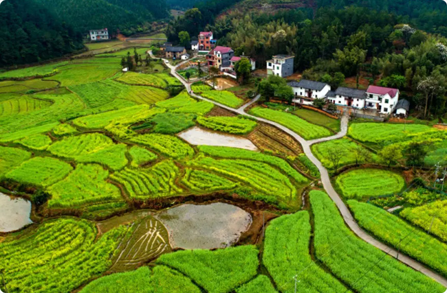 �����֘I̼�R�_�������