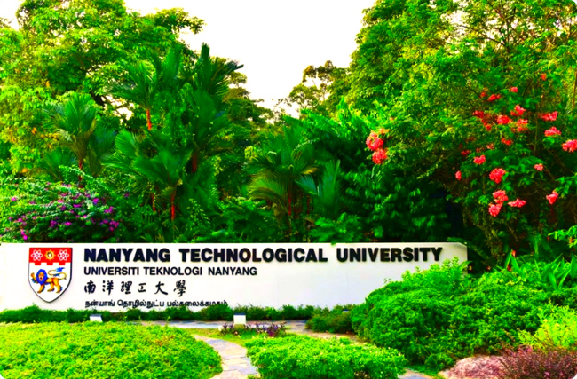 �|�˼t����̼�R�˜ʰl��