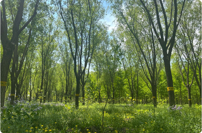 ̼�R�����ƾ����Gˮ��ɽ�Ѓr��