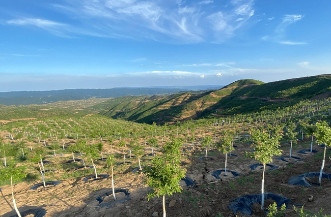 �x���䣬̼�R���Ŀ�ͳɹ���һ�룡